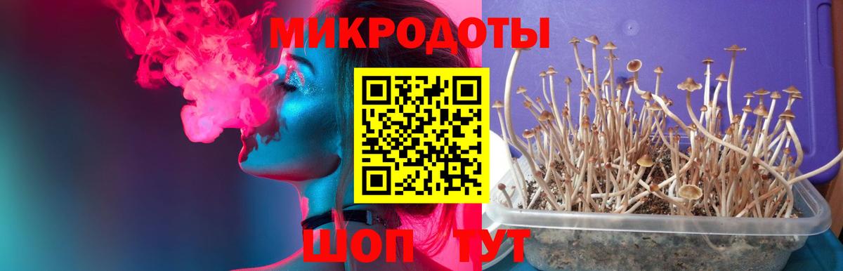Галлюциногенные грибы GOLDEN TEACHER Артёмовский